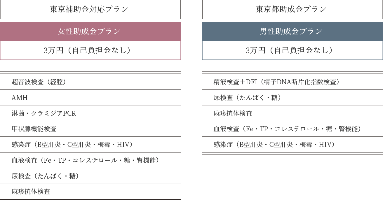 女性助成金プラン